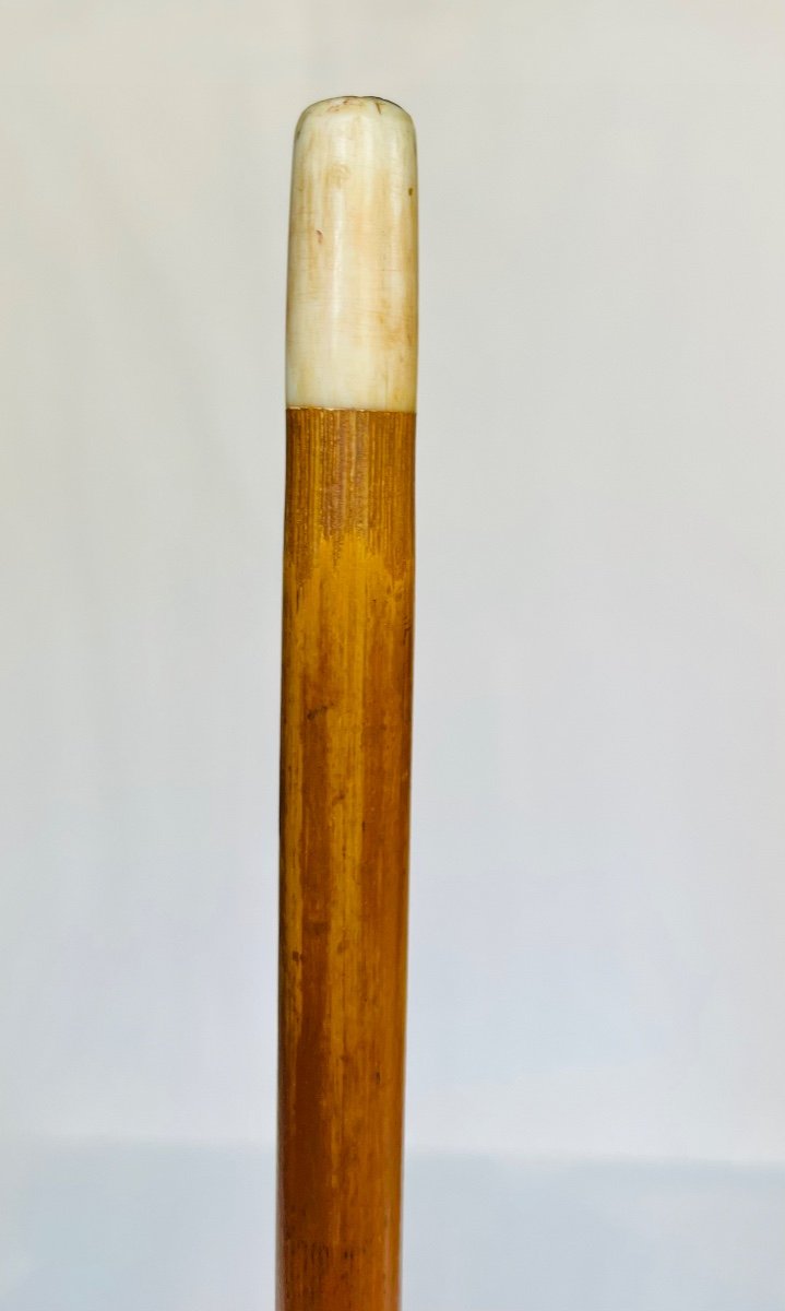 Ivory Mastiff Head Cane -photo-6